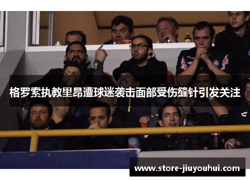 格罗索执教里昂遭球迷袭击面部受伤缝针引发关注
